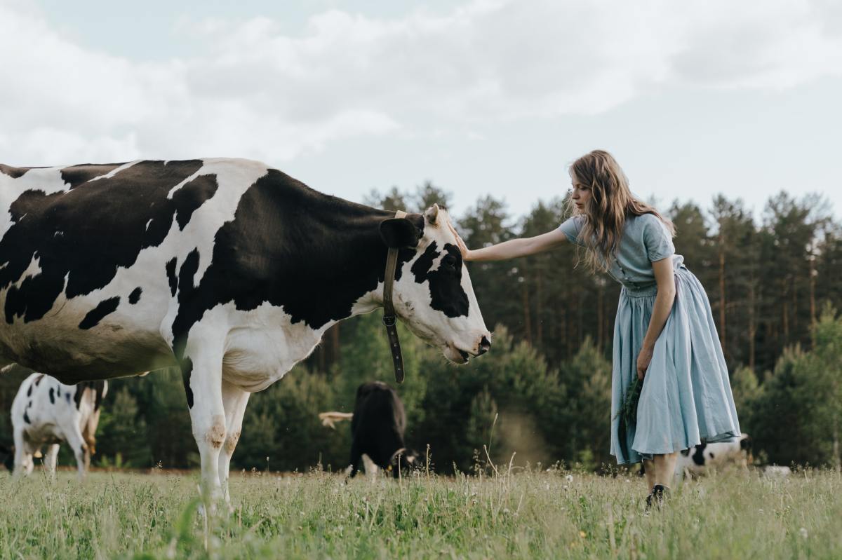 Cow Care: The Best Mental Health Therapy